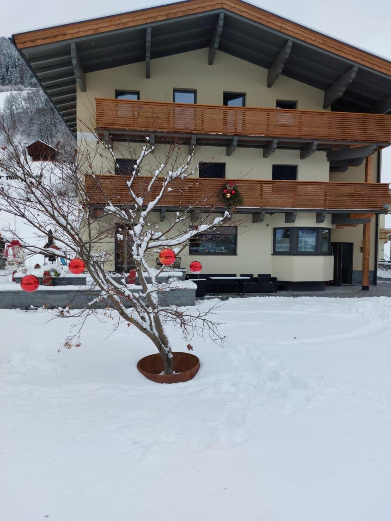 Appartement Reichholf Bramberg am Wildkogel Dış mekan fotoğraf