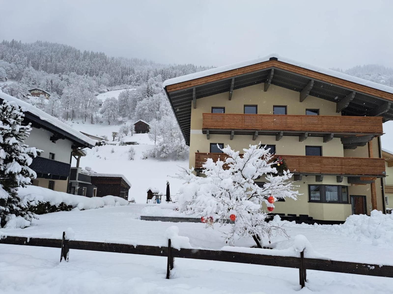 Appartement Reichholf Bramberg am Wildkogel Dış mekan fotoğraf